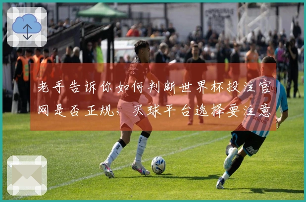 老手告诉你如何判断世界杯投注官网是否正规，买球平台选择要注意哪些细节