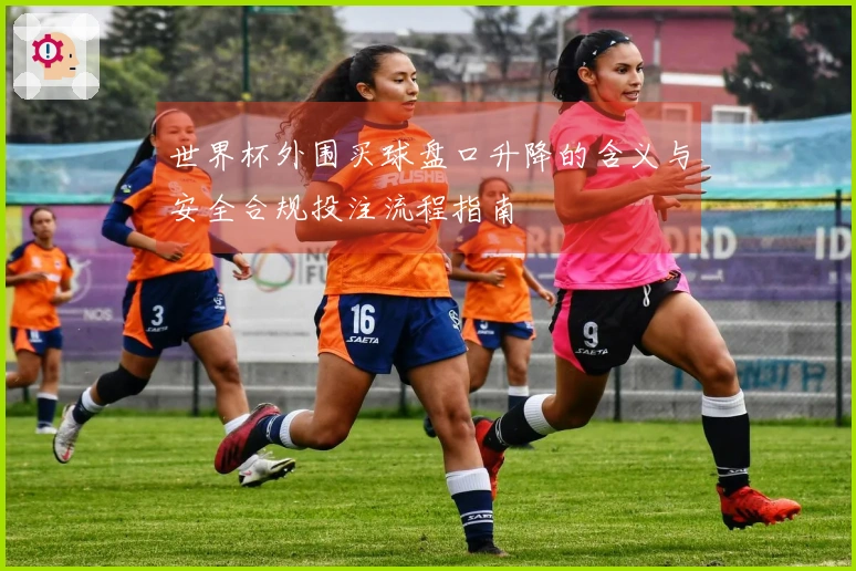 世界杯外围买球盘口升降的含义与安全合规投注流程指南